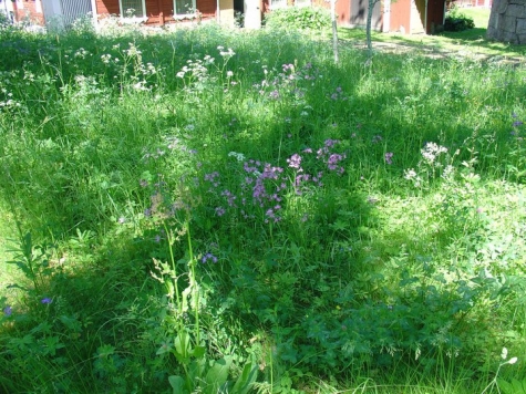 Björka Storgård B&B