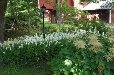 Björka Storgård B&B