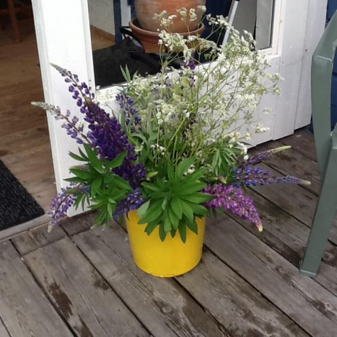 Pirjos Bistro och Café Camping Högakusten