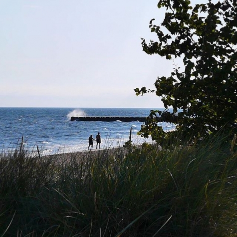 Sandskogens Camping och Stugor