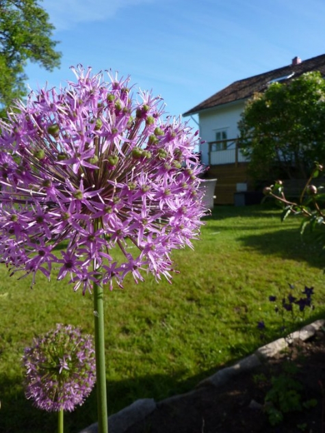 Rosenhill Bed & Breakfast