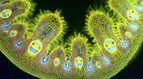 Ängelholms Golfklubb