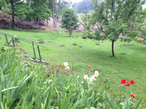 Granparkens Gård och Kafé