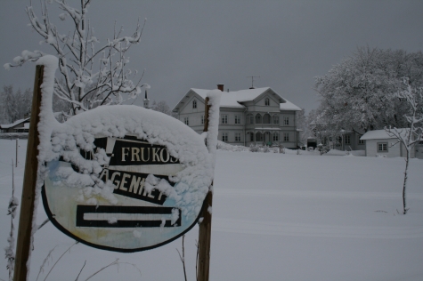 Hälsingegård Lundbergs