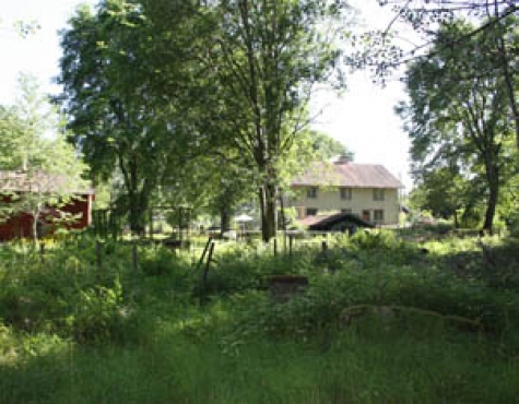 Cafe, Restaurant Vitakrala