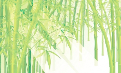 Grön Bambu