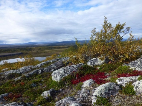 Point North Hostel Kiruna, Lapland