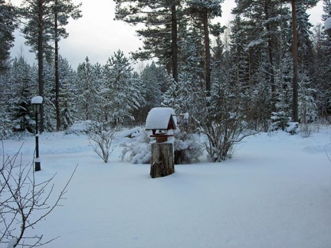 Sifferbo Stugby och B&B