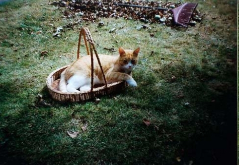 Mariannes bed and Breakfast