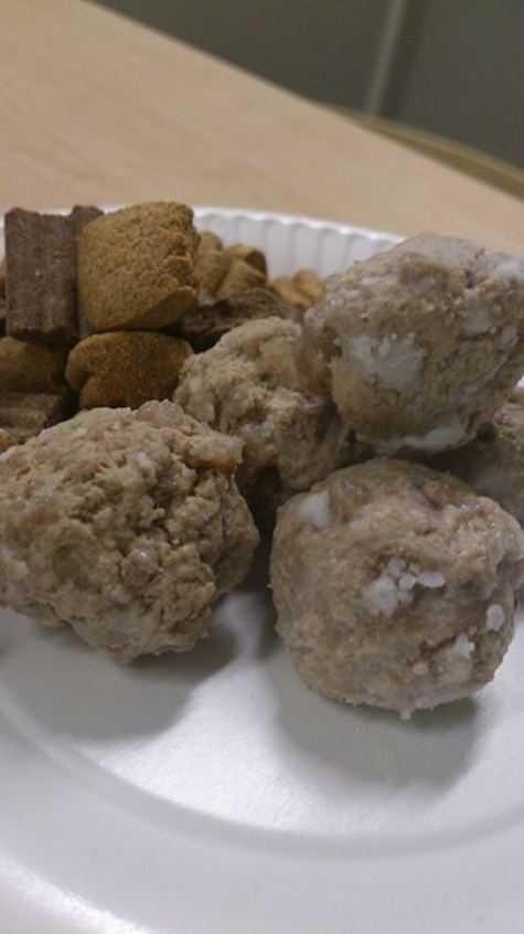 Skallet - Umeås Hundcafé