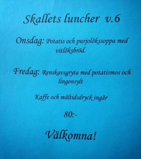 Skallet - Umeås Hundcafé