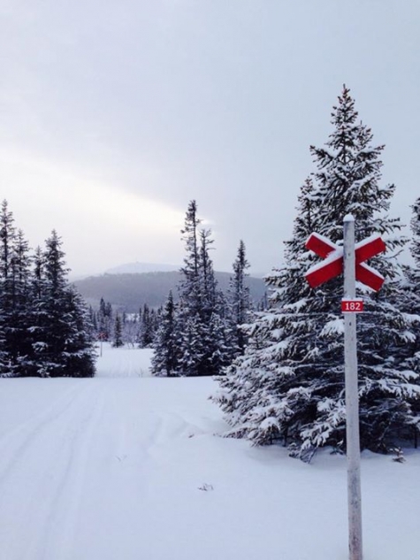 Vålågården Värdshus & Camping