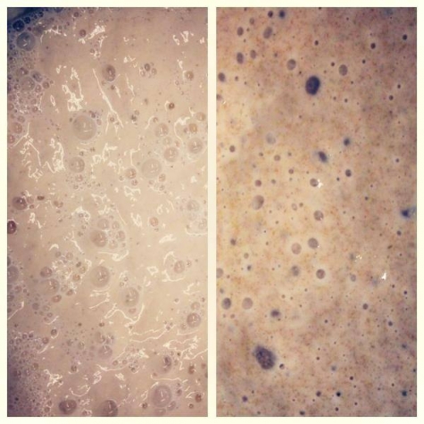 Borgeby Stenugnsbageri och Kafé