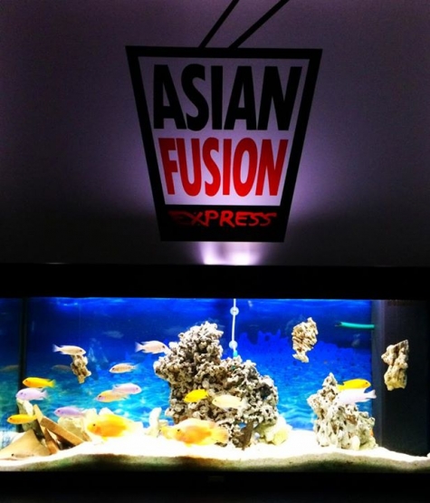 Asian Fusion