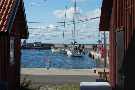 Krokens Sallad och Fisk Byxelkrok