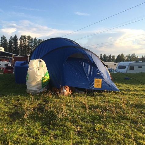 Skellefteå Camping