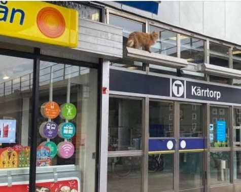 Loppis Kärrtorp