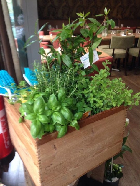 Bistro Ett Rum och Kök