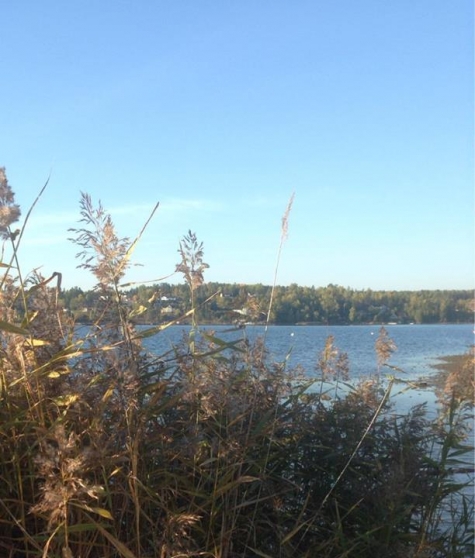 Solbrännan Restaurang och Café