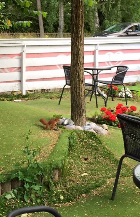 Restaurang och Pizzeria Ljunghusen