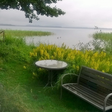 BADKARTAN.SE » Bilder från Västra str, Ringsjön Sjöholmen