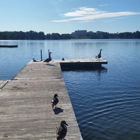 Ängsholmsbadet, Rönningesjön