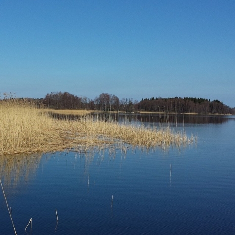 Mellby vid sjön Solgen