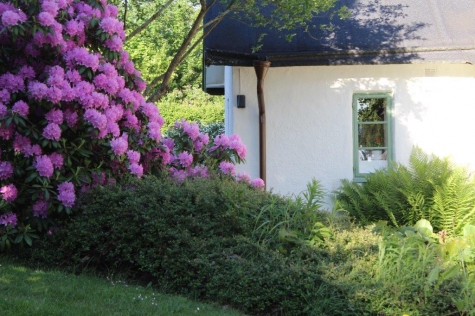 Berggrenska Gården Café