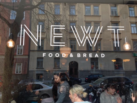 Newt Food and Bread