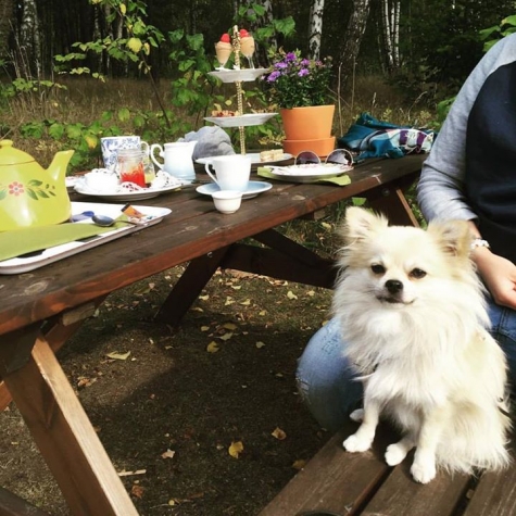 Flickorna på Färjenäs