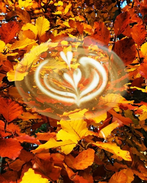 Vingårdens Café och Bistro