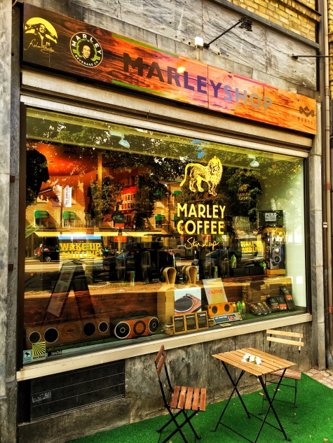 MarleyRoots