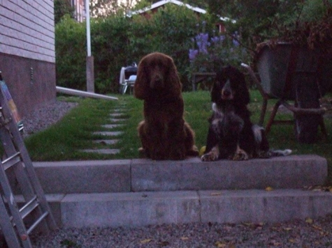 Bed and Breakfast Finspång