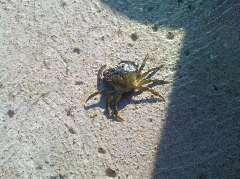 First Camp Torekov-Båstad