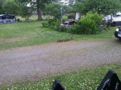 Strandbadets Camping