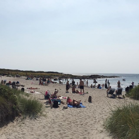 CAMPINGKARTAN.SE » Getteröns Camping » Bild från Getterön 4 Getteröns camping Recensioner Getteröns Camping