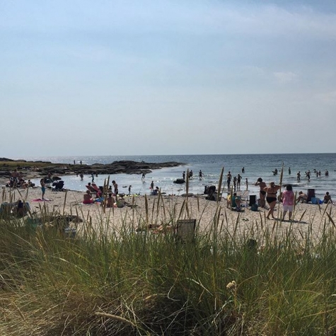 CAMPINGKARTAN.SE » Getteröns Camping » Bild från Getterön 4 Getteröns camping Recensioner Getteröns Camping