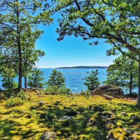 CAMPINGKARTAN.SE  Jrnaviks Camping  Bild frn Jrnavik av @bikewatch2000  - Through the break in the trees #jrnavik #tree_magic #tree_masters  #forest #forest_masters #fotofanatics #loves_sweden #baltic #blekinge  #blueskies #stersjn #naturfoto ...