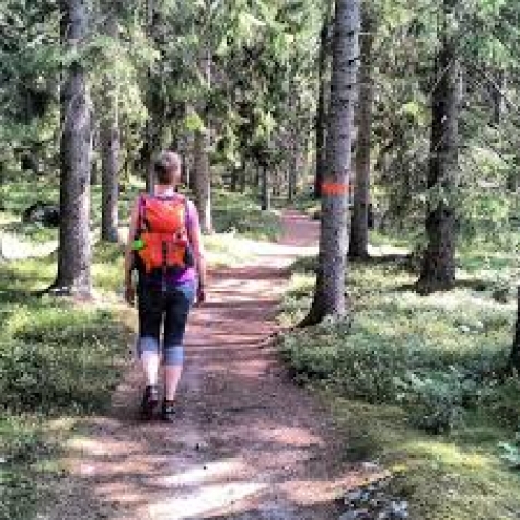 Rossgården Vandrarhem Logi