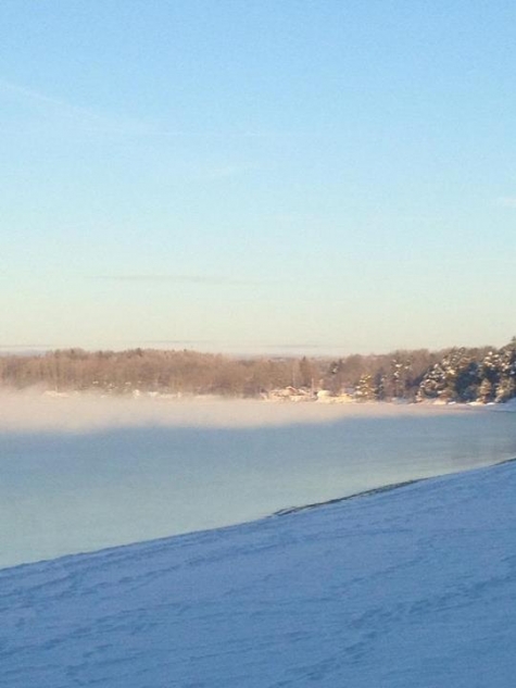 Varamon Vandrarhem, Skogsborg