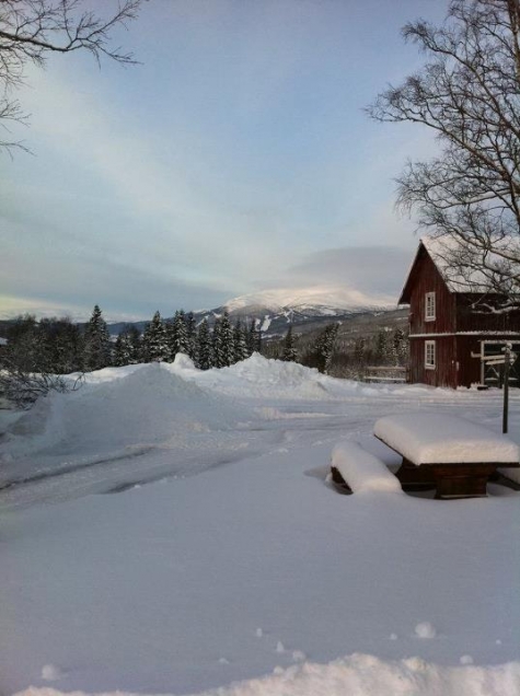 Vandrarhem Åre, Brattlandsgården