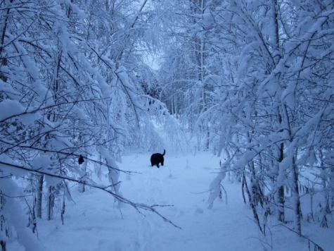 STF Hovra Vandrarhem och Café