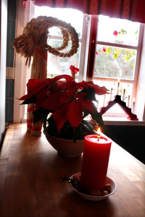 Flickorna Lundgren på Skäret