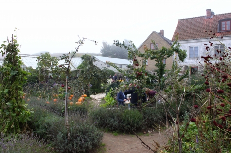 Mandelmanns Trädgård och Café