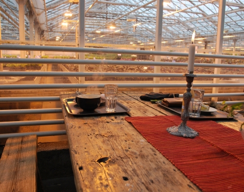 Trädgårdscaféet Ulriksdal