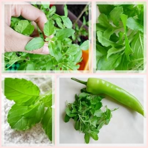 Ahaan Fusion Restaurang