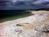 Ar strand, Norra Gotland