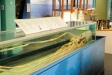 Naturhistoriska riksmuseet