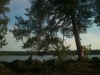 Glottrasjön - fin liten strand och vackra promenadstigar