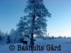 Bashults Gård